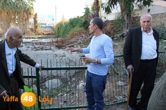 ramla mosaneeena (27).jpg